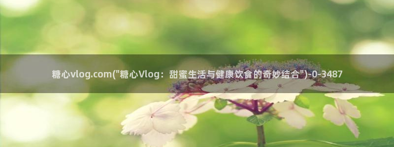 糖心vlog一一
