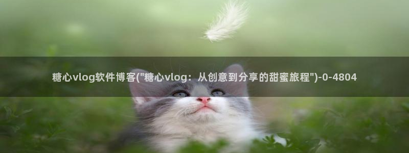 糖心vlog女优
