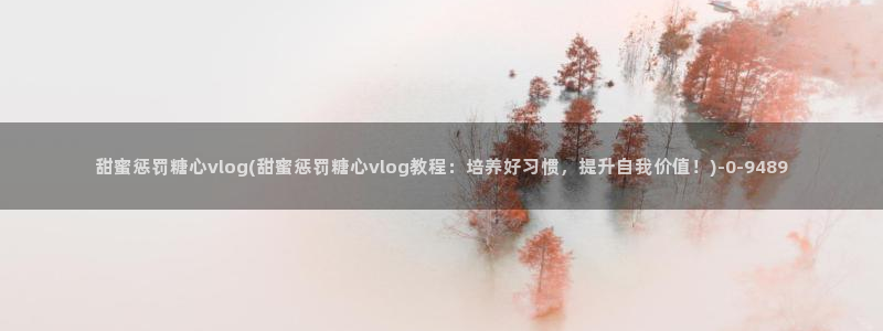糖心vlog老司机