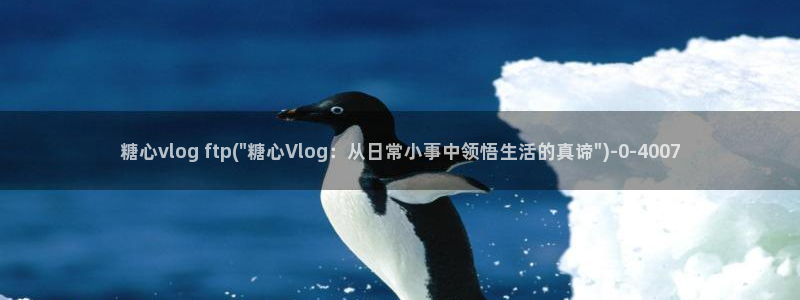 糖心vlog没有线路