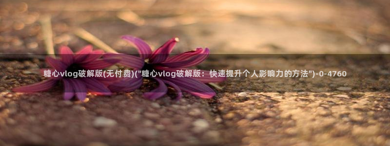 心糖vlog在线免费播放