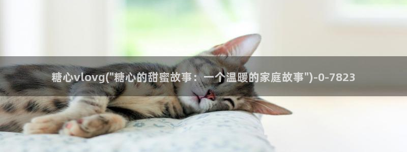 糖心少女vlog免费桐桐的生日