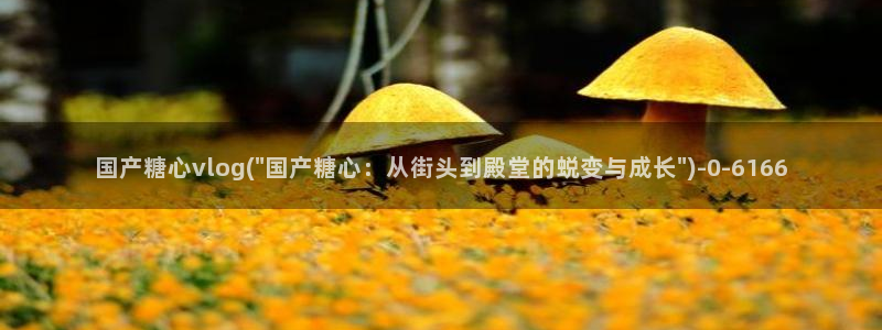 网站糖心vlog