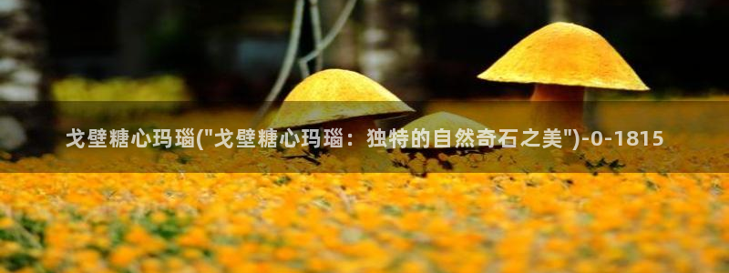 糖心vlog入口