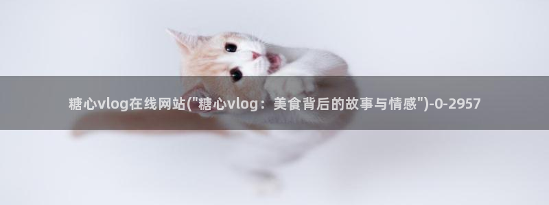 糖心vlog产精国品免费入：糖心vlog在线网站(\