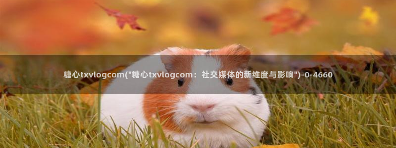 糖心国产传媒vlog