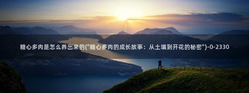 糖心vlog.con