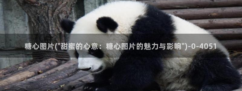 糖心vlog地址