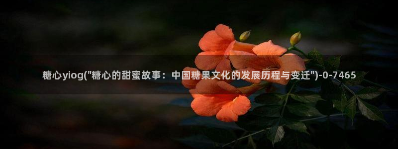 糖心vlog永久会员