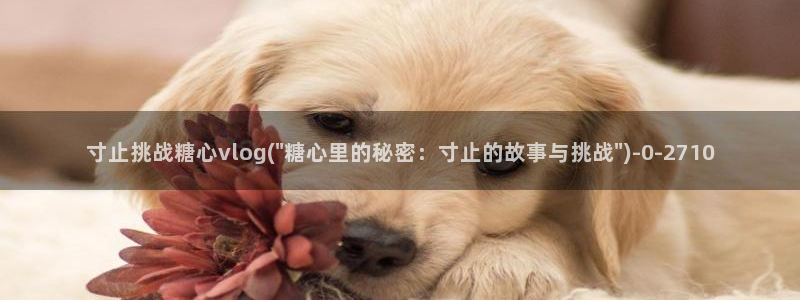 糖心vlog颜值排行