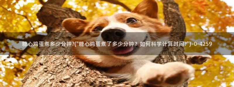 溏心蛋vlog