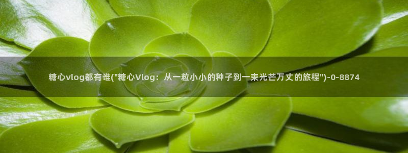 糖心vlog入口免费