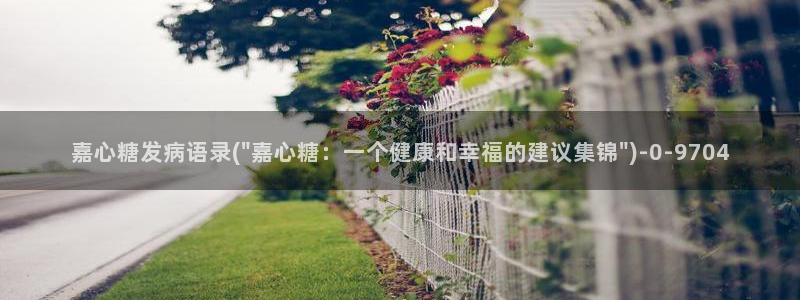 糖心vlog女