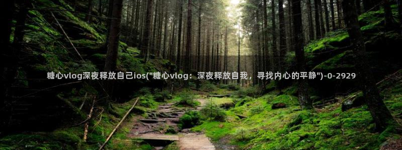 糖的vlog
